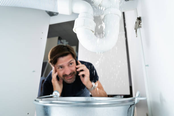 Best Pipe Repair Near Me  in Newport, WA